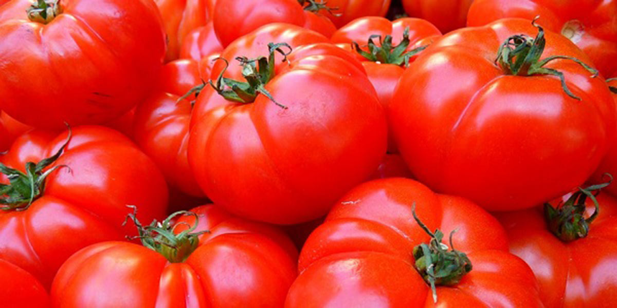 Pomodori, ora è possibile farli crescere senza l'ausilio della pianta